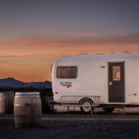 Tarantula Ranch Campground & Vineyard Near Death Valley National Park Amargosa Valley Εξωτερικό φωτογραφία