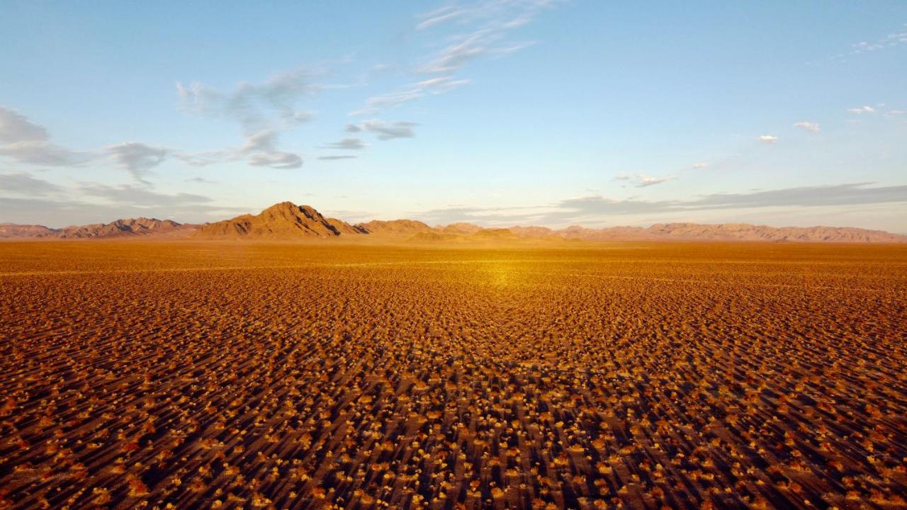 Tarantula Ranch Campground & Vineyard Near Death Valley National Park Amargosa Valley Εξωτερικό φωτογραφία