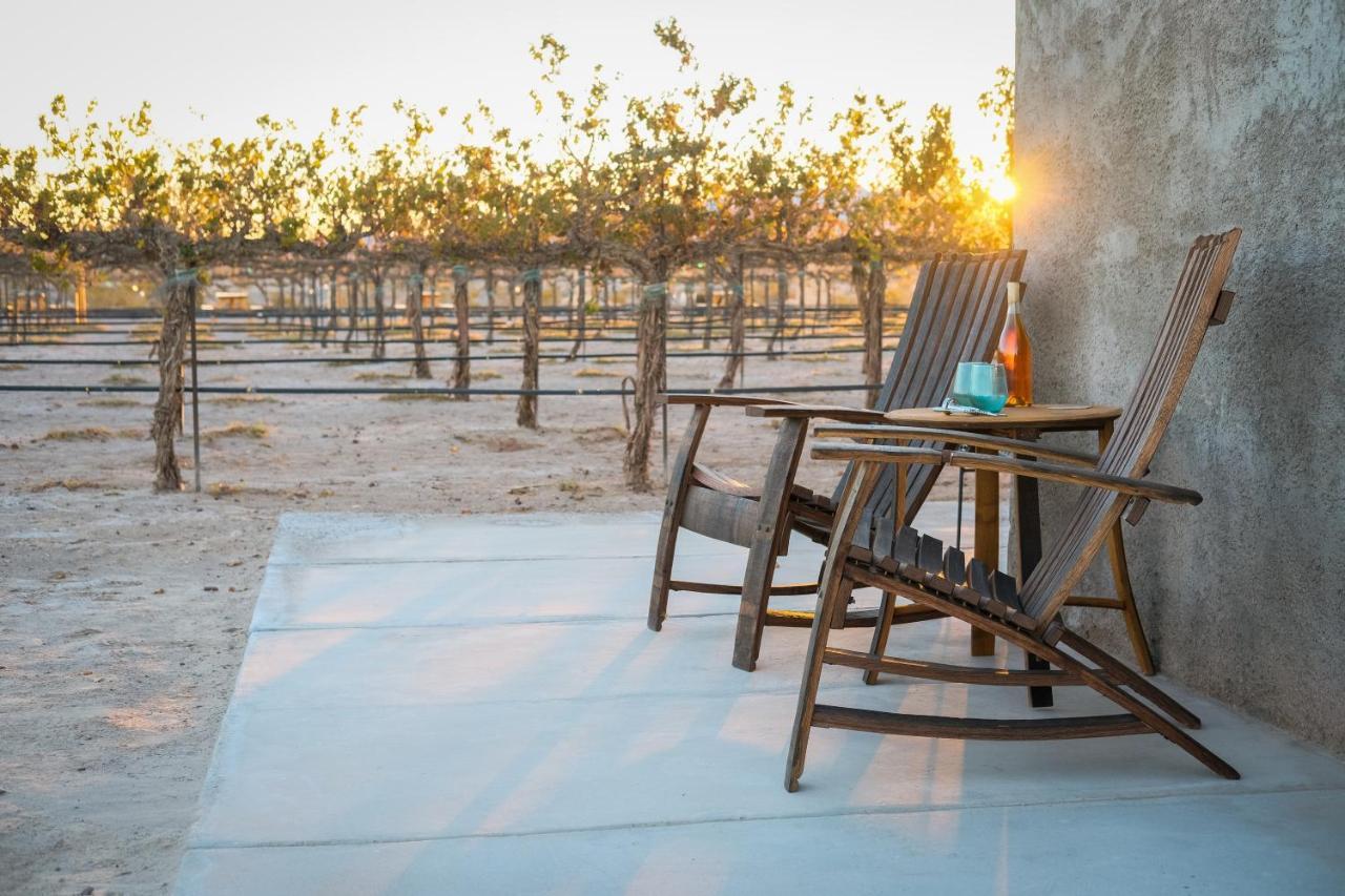 Tarantula Ranch Campground & Vineyard Near Death Valley National Park Amargosa Valley Εξωτερικό φωτογραφία