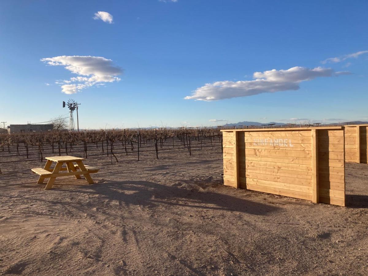 Tarantula Ranch Campground & Vineyard Near Death Valley National Park Amargosa Valley Εξωτερικό φωτογραφία