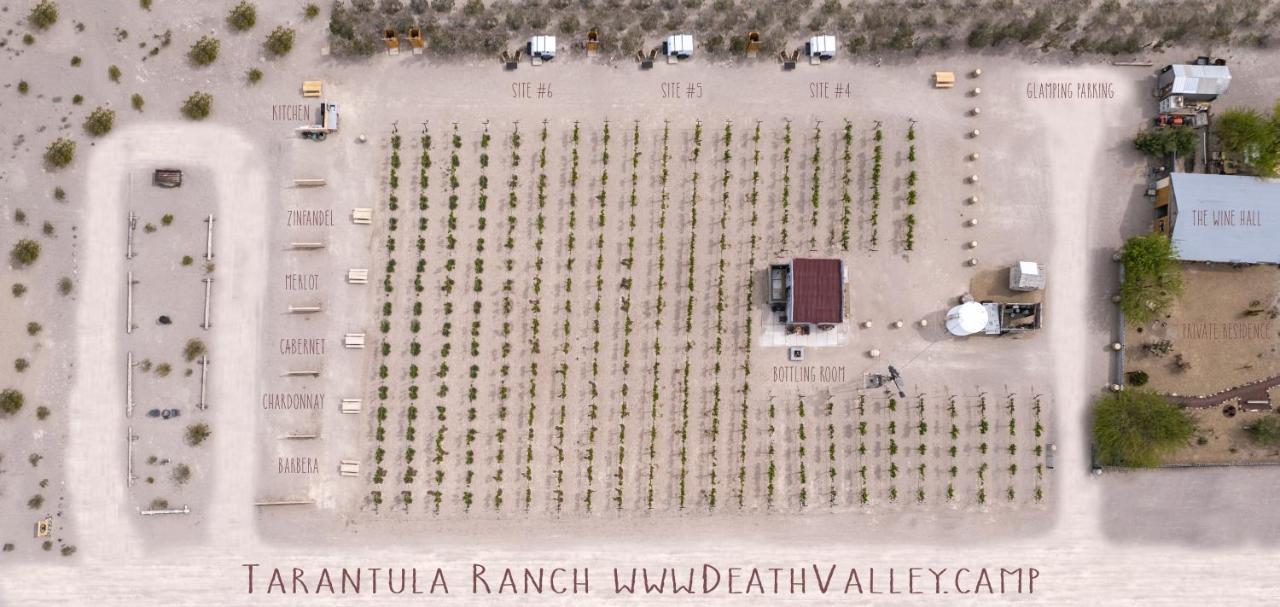 Tarantula Ranch Campground & Vineyard Near Death Valley National Park Amargosa Valley Εξωτερικό φωτογραφία